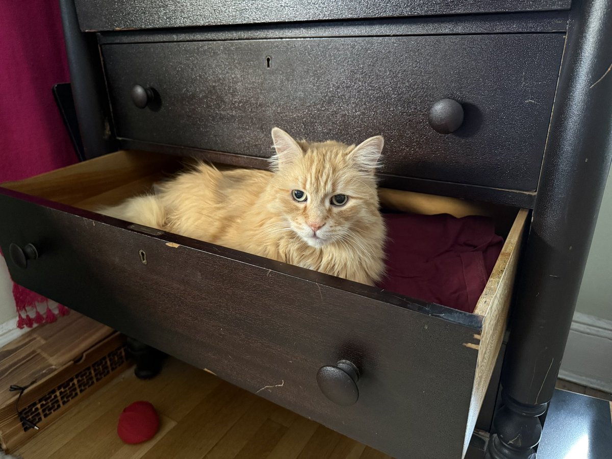 tmbg's tweet photo. What’s happening? https://t.co/bgJSmwAijU