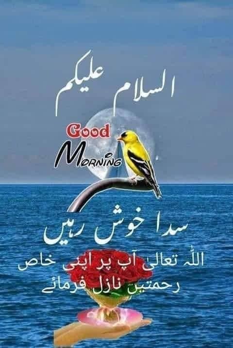 Y22NY's tweet photo. #P_PTi 20
@MKPK1 @NM1k_ @As40t
@IK92K @Ghz97 @Punj143
@b_ngsh12 @A_2SF @IAIT_
@Sc2017W
@shzz900
@TSC143
@zwzsca
@Ars_Q1u
@shZ447
@Mirha_4
@Urwa_9
 @1iA_4  @F1PTi
@Y22NY
@Ghz_l4
@MXPTi
@ik_553
@ik1PTi
@Ejz55
@IAIJ_ @NM2k__ @1Lvz0
@IAIJ1_ @Ei__ra @Azkk01
@zimal293 @P_PTi4 @553ik https://t.co/qaqQFem11N