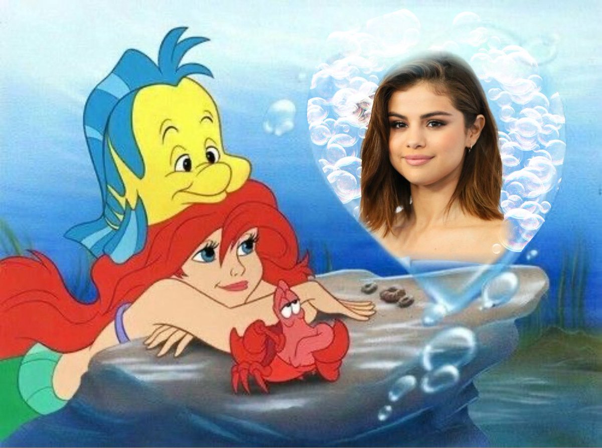 singlikesel's tweet photo. Selenators every day be like: https://t.co/bE1expCmK5