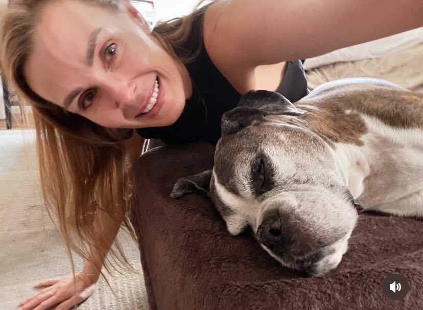 robert75084's tweet photo. This is Millie my beautiful boxer dog. I've had her since she was 10 1/2 weeks old. She is now aged 10 years old. She isn't doing too well. Please say some prayers for her🙏🤍. Good night 💤 https://t.co/90HkcMehYH