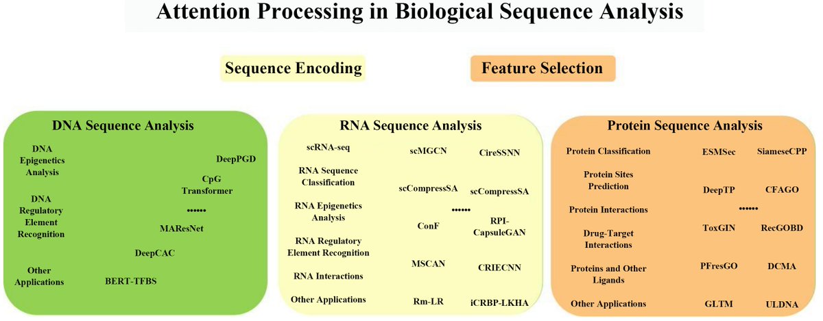 Comput_Biomed's tweet photo. 📢 New review in #ComputationalBiomedicine
"The Application of Attention Mechanisms in Biological Sequence Analysis"
📖 https://t.co/Sq2N2C51G3
#AI #Bioinformatics #DeepLearning #Genomics #Proteomics #SingleCell #MachineLearning https://t.co/X0M8jfC4u3
