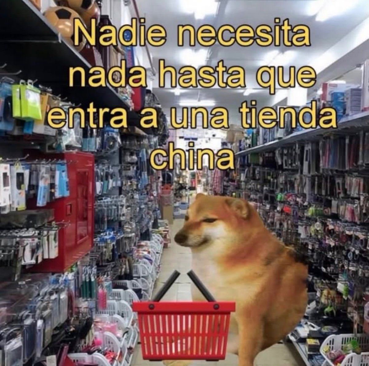 Mundo de Bigotes tweet media