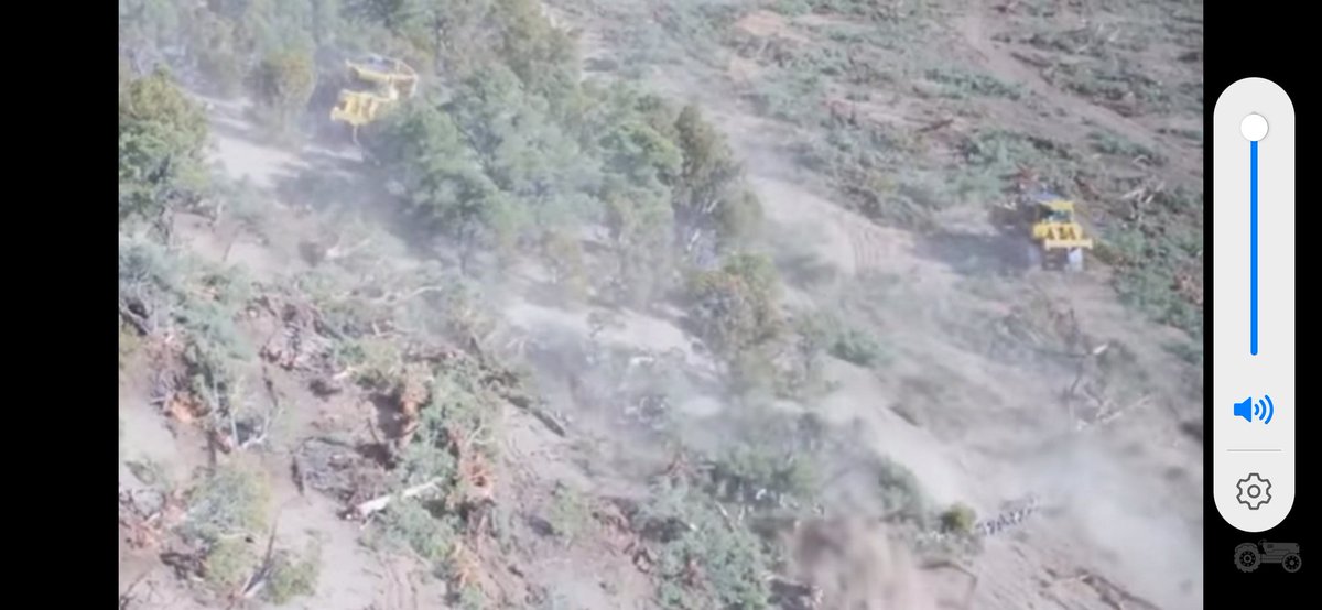 tweetbix's tweet photo. @Qldaah Anyone catching footage of wanton destruction of magnificent open green space Victoria park was? 
Just like the good old days of clearing Brigalow Scrub with bulldozers dragging a giant chain between them.
"If it moves shoot it, if it doesn't chop it down" Qlders decision makers. https://t.co/U4jAM6H8q7
