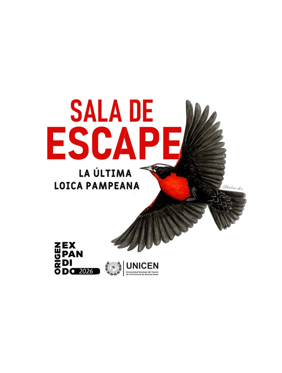 may_Is62's tweet photo. Viva el pastizal serrano y las especies nativas. Aguante la ciencia y la universidad argentina!! Hermoso cierre de proyecto.
Gracias totales :) 🤩
FIN.
@FCEx_UNICEN @fcv_unicen @UNICEN_Oficial #Tandil #loicapampeana #origenexpandido https://t.co/p6kvi8MkC1