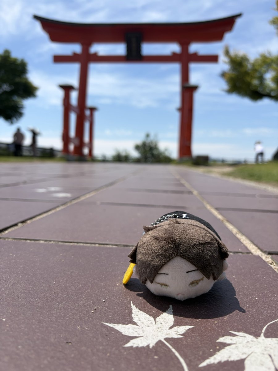 k_kurou's tweet photo. のーんびり帰るよ
広島に鳥取のがあった。
即買いした美味しい〜 https://t.co/4ZkxYvjgK0