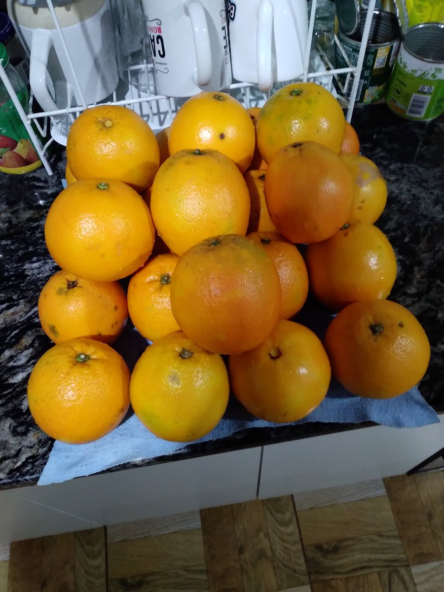 God_Emago's tweet photo. Si la vida te da naranjas, craftea mermelada.
Ayuda son 6,2 kg, me voy a morir en el proceso de mermelacion (?) https://t.co/otELVY8se6