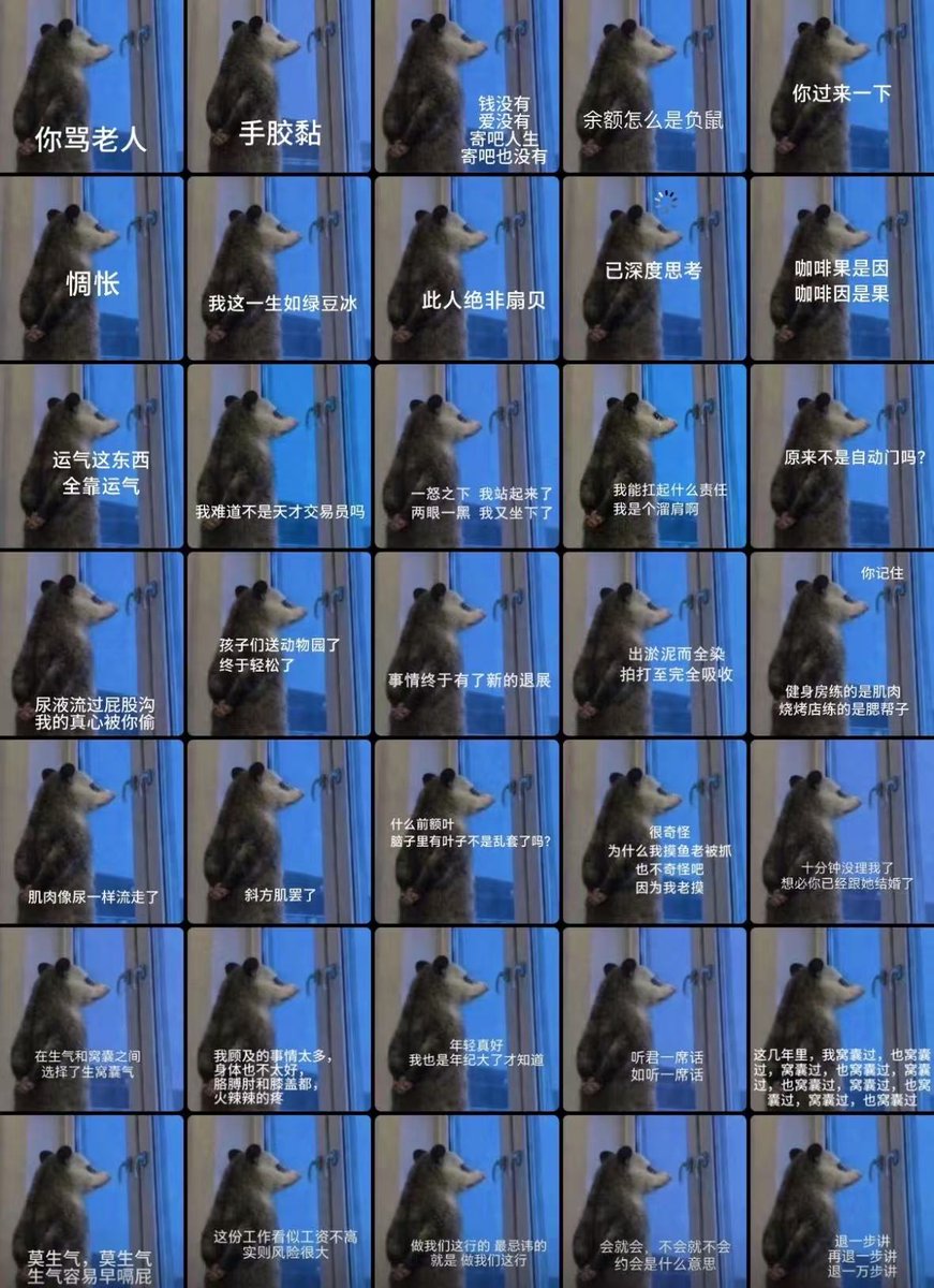 alphai_snipe's tweet photo. 周一的早上
当我气了一下
我就气了一下 #背手负鼠 https://t.co/yP2jTW07Sq