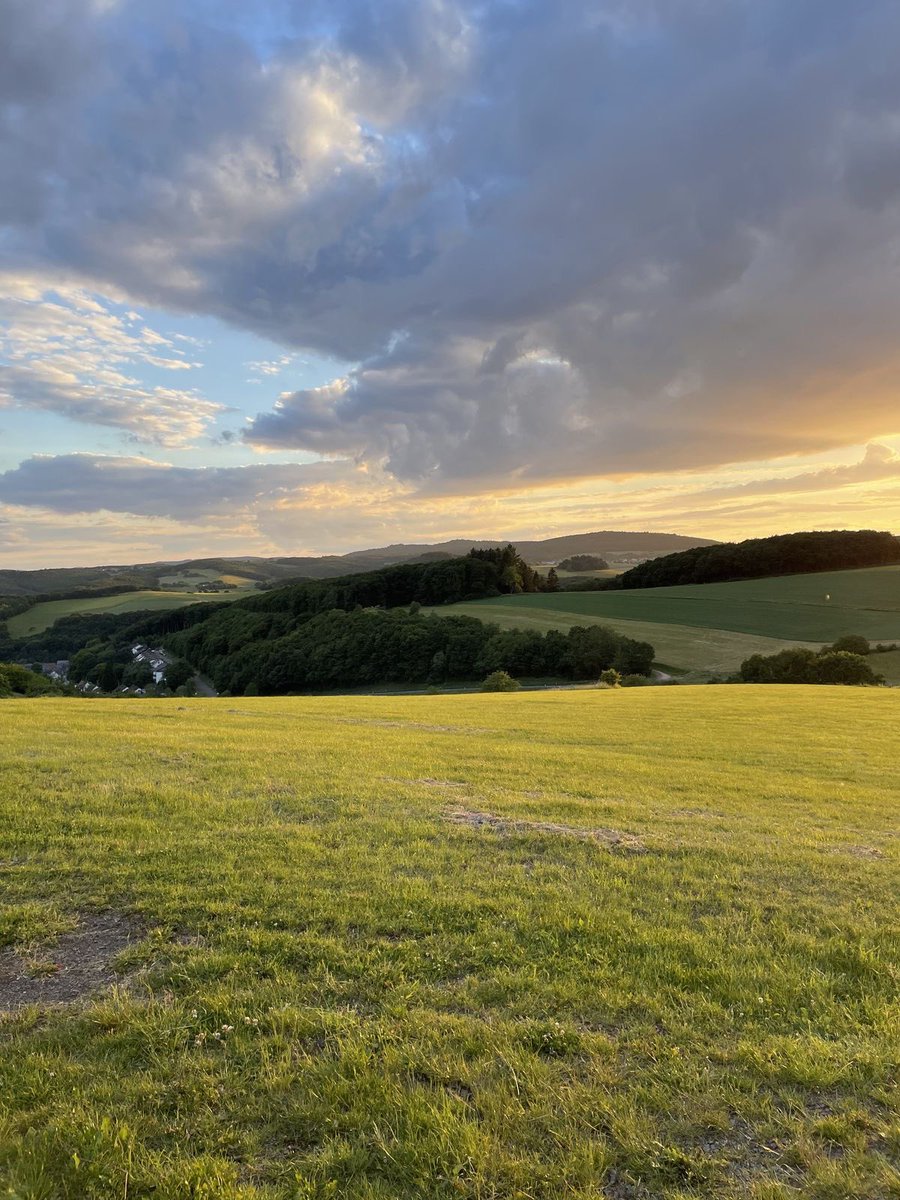 Craftsmangod's tweet photo. Golden fields, wandering clouds, and a soul at ease. https://t.co/pmvmQzJ1zC