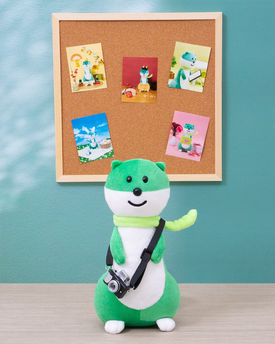 ミドすけだよ！ 6月1日は #写真の日 だね📸 みんなのボクのお気に入り
