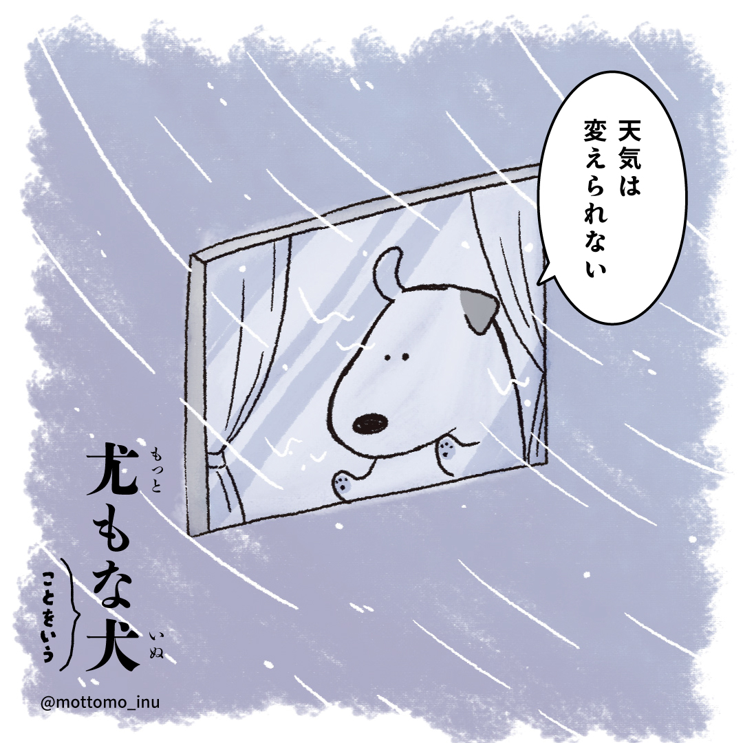 尤もなことをいう犬 (@mottomo_inu) / Posts / X
