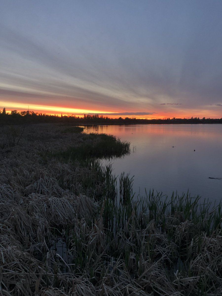 RevZekveld's tweet photo. The glory of an 11 PM sun setting in Grande Prairie Alberta on May 31. 👍❤️ https://t.co/EOnl9e1wFM