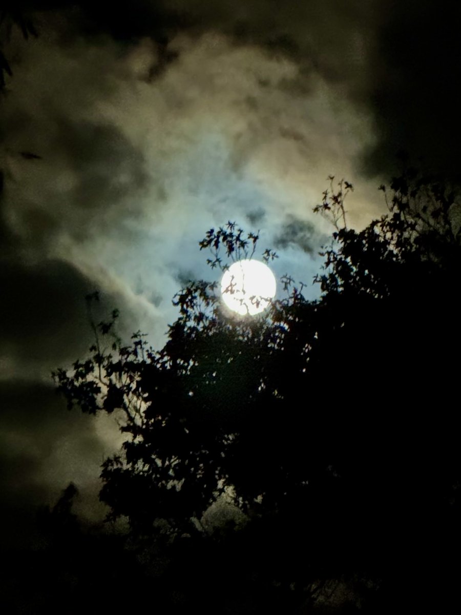 Jen_LoverofLife's tweet photo. Inner glow…

#luna #moon #moonlovers #sky
#photography #fullmoon #glow https://t.co/u7yflFH5XK