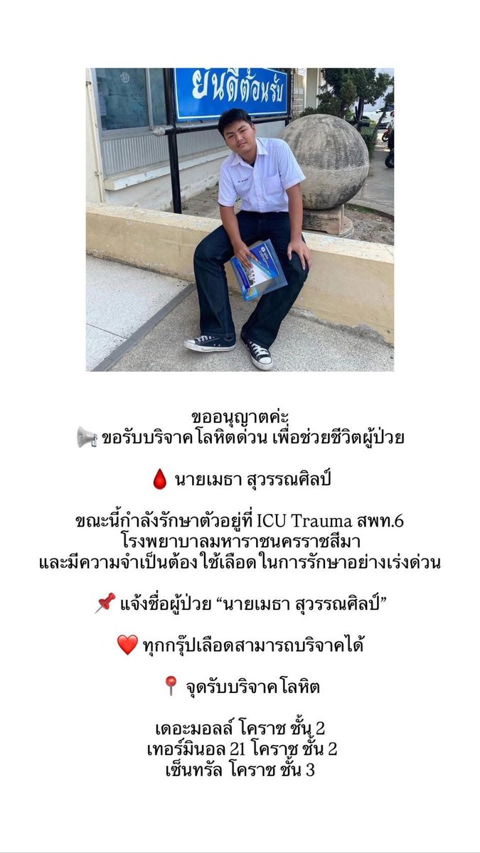 ⟡₊ ݁ แบ่งปัน •ᴗ•ꕤ tweet media
