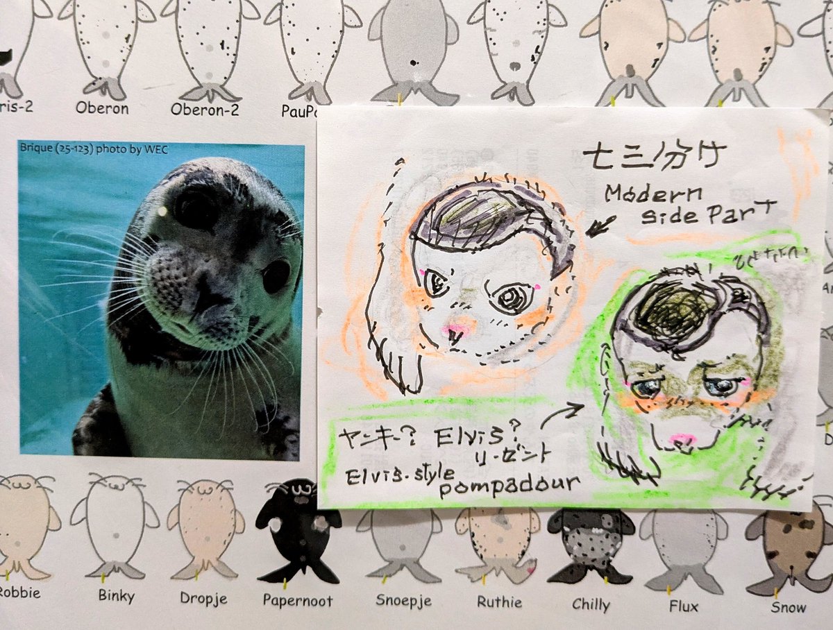 大丈夫、どっちもイケてるぜベイビー🦭✨ It's okay, they're both