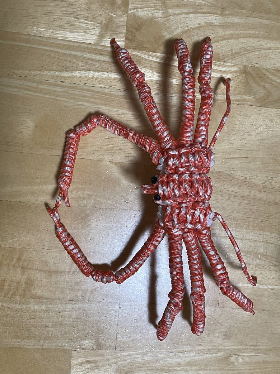 donabe58's tweet photo. パラコードでタカアシガニを作りました。
はさみ、脚は針金入りで、自立させたり、ポーズが取れます

こだわりは脚やはさみの節感と、甲羅を開けると入ってるカニ味噌です。

甲羅の開き方がおかしいのはご愛嬌

#パラコード　#ハンドメイド　#カニ　#タカアシガニ　#ズワイガニ　#蟹味噌　#生き物 https://t.co/OWnUi4LzCt