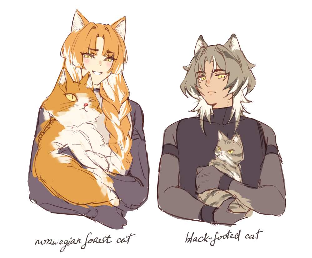 _bernkasunyan's tweet photo. kitties (are so hard to draw wtf...) https://t.co/wnBJIl5bdx