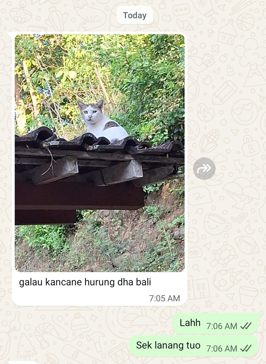 rianarsh's tweet photo. Hari hari laporan kucing di rumah🤣 https://t.co/w3TVxqZAAR