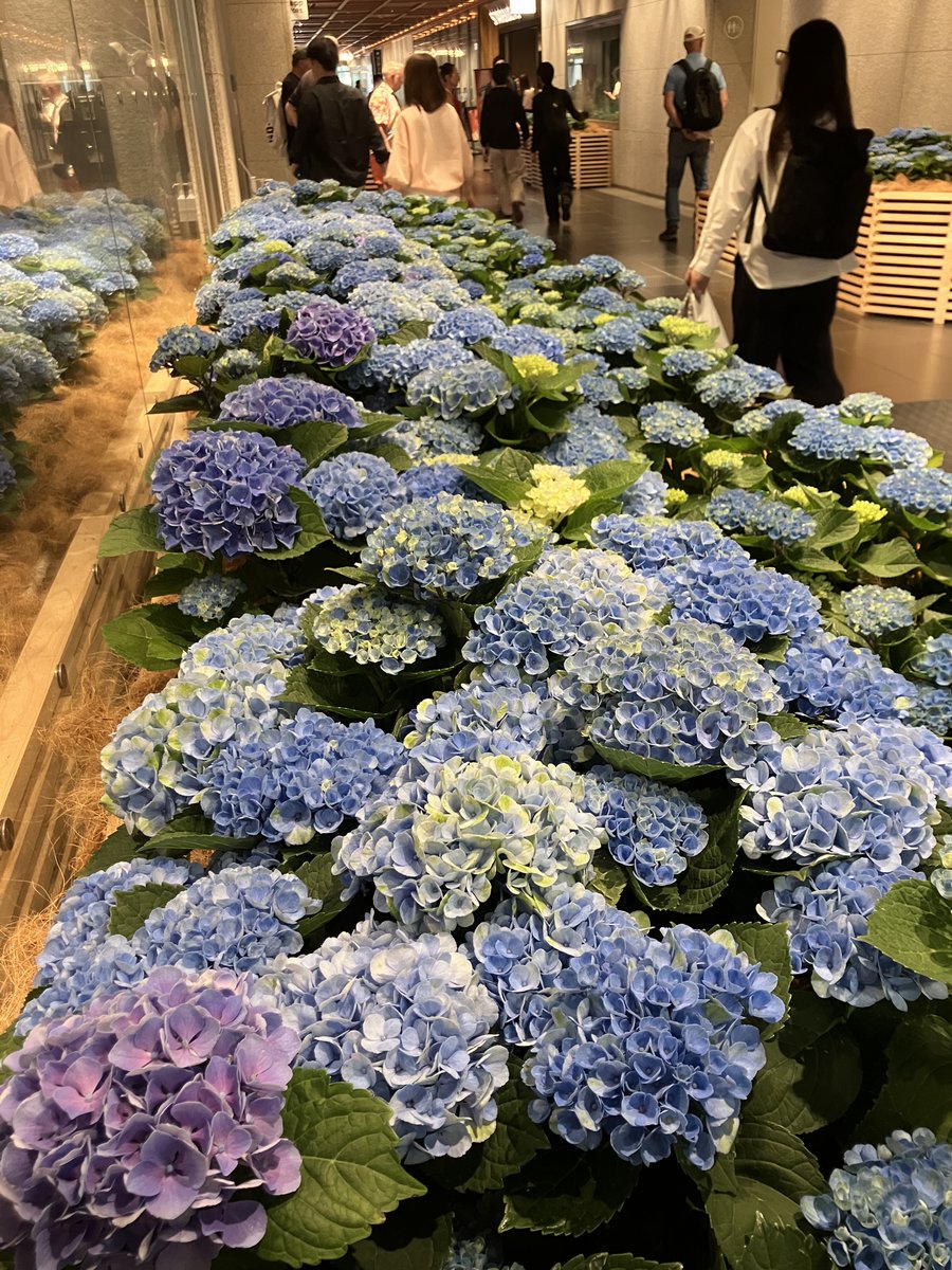 ミハエルネグリン Japan【公式】 (@MichalNegrinJPN) / Posts / X