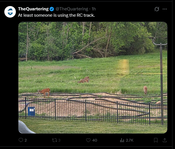 LutherTheWriter's tweet photo. Look at all the weeds on the RC track. @TheQuartering is gonna need more baseball dirt. https://t.co/p5fNWOMbTH