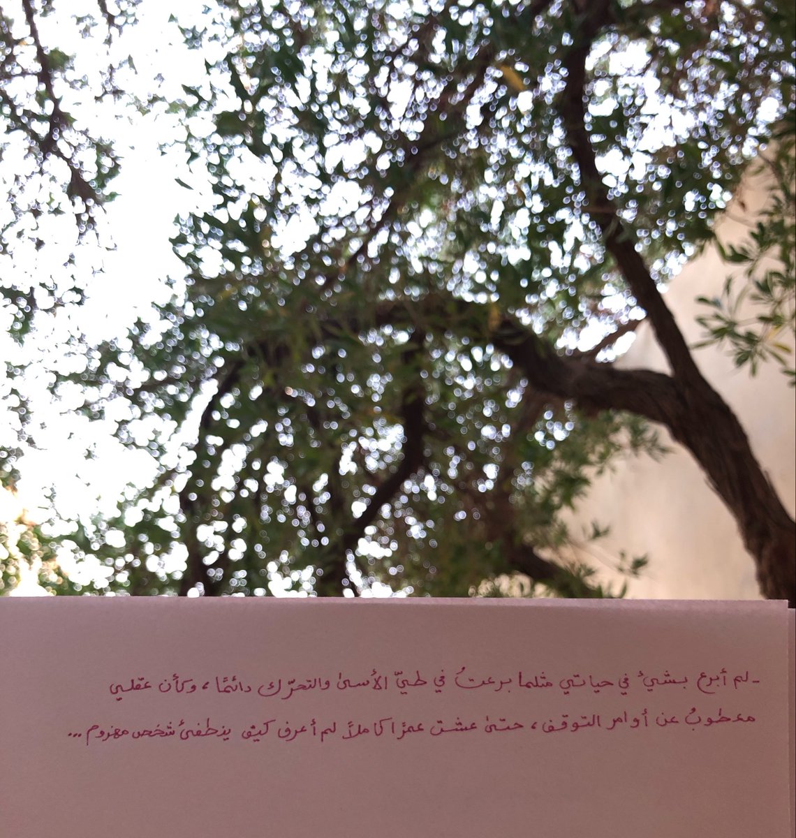 وَهج tweet media