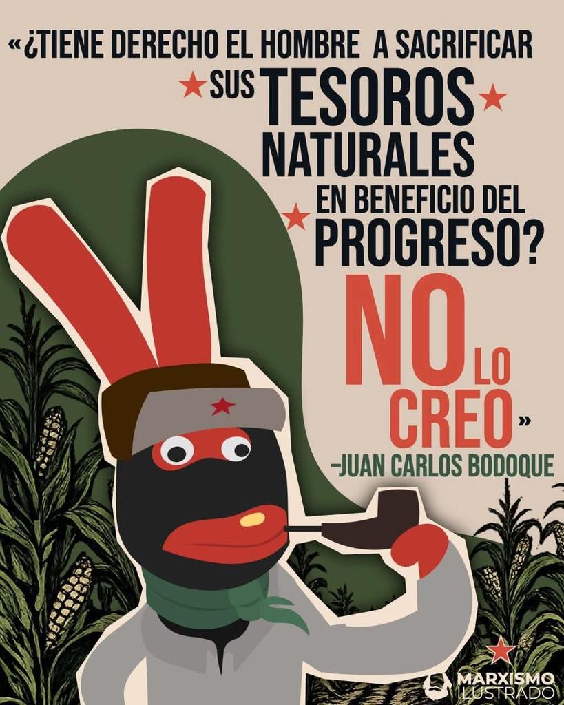 Memes Universidad Nacional tweet media