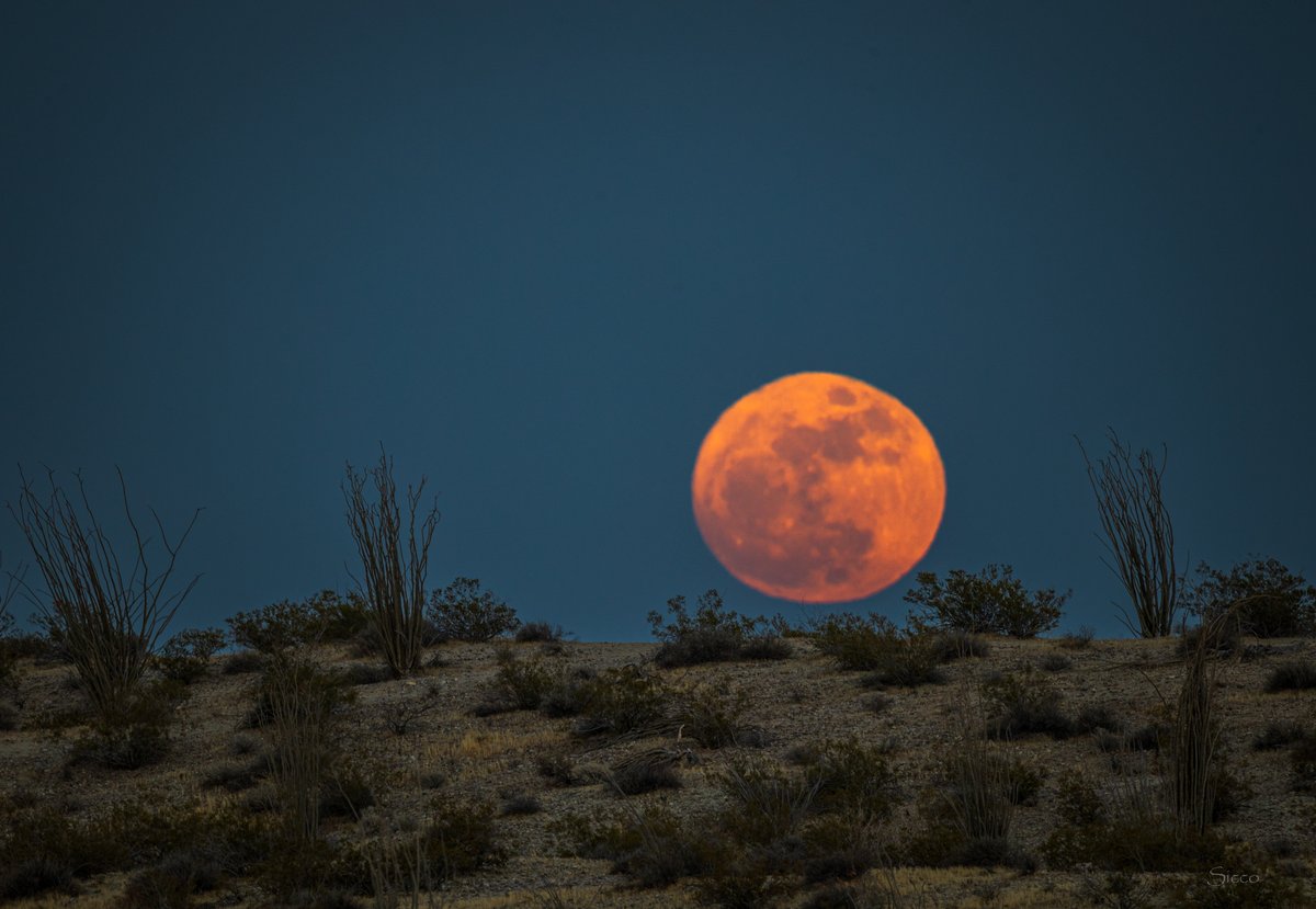 AnzaBResearch's tweet photo. Full moonrise over Borrego yesterday evening (Photo: Sicco Rood). https://t.co/9TZ1imWKOR
