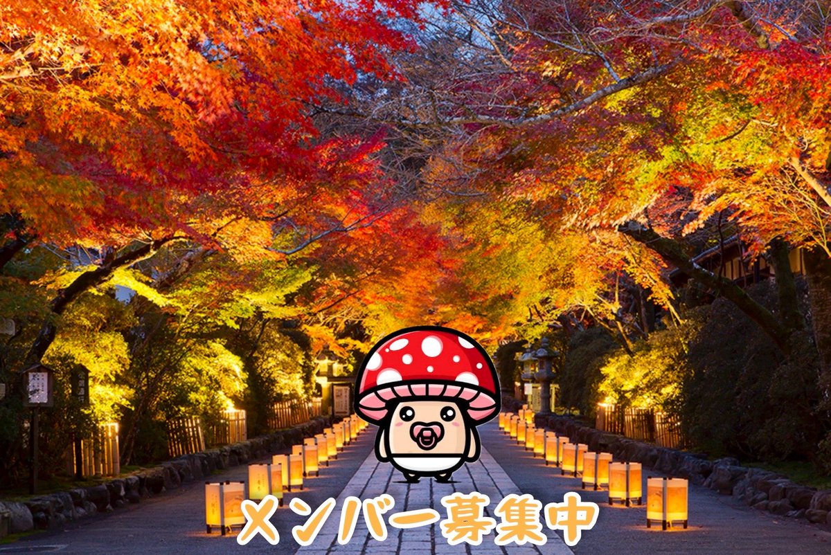 fu12sena07's tweet photo. KUREHA🍁
メンバー　1名募集
総力戦　　伝説以上
アリーナ　マスター以上
降臨　　　神1500万以上
攻城戦　　魔法300万以上
　　　　　物理500万以上
ギルド戦　参加必須
ギルドコンテンツ参加必須
攻城戦　　5位以内
降臨神　　6位
ギルド戦　10位以内目標

#セブンナイツリバース
#セナリバ
#KUREHA https://t.co/Jy6YmsJXLa