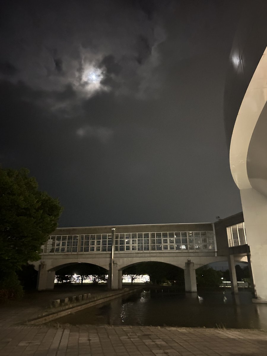 FukuiPref_Univ's tweet photo. 大学広報支援員しおりです。

夏は夜。夜の県大です。 
 
遅くまで、学んだり研究したり、歩いたり、案外人がいるんです。 
昼と違うように見えるのは、外の明るさだけが原因じゃないと思います。 
 
夜は、素になる時間なのかもしれません。 
人間だけでなく大学も。つきづきし。
 
#福井県立大学 https://t.co/OaL3xNyGEz