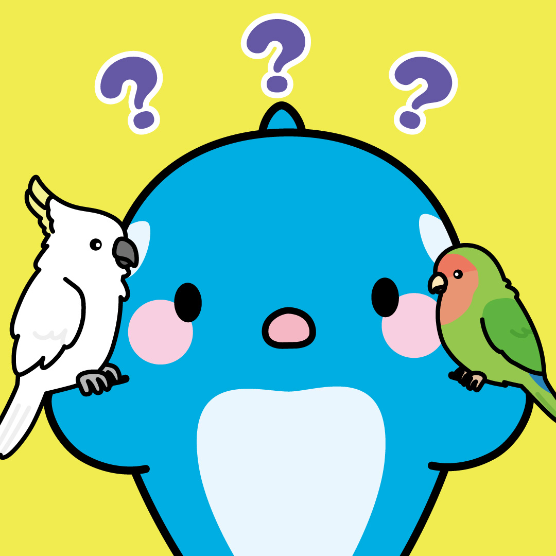 allpass_kun's tweet photo. オウムとインコのちがいは何かな？
#オルパスくん　#オウム https://t.co/ahLeLTNPrJ