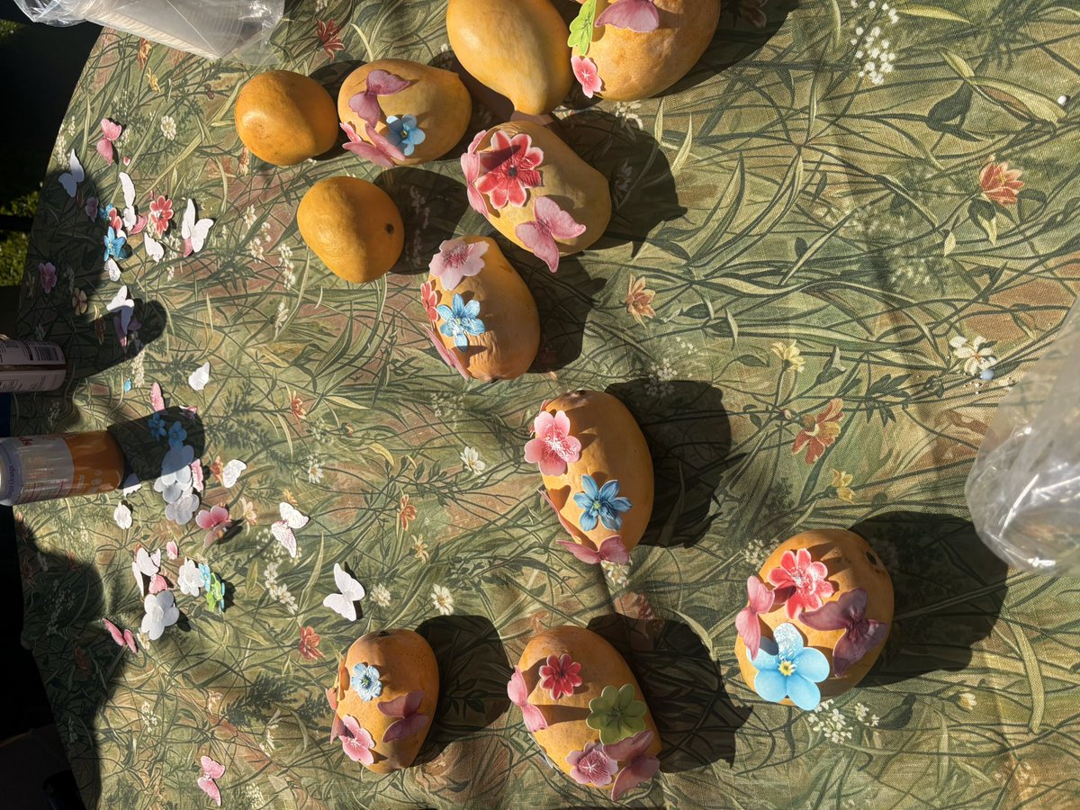 ellen_in_sf's tweet photo. sf comes together for mango

thanks @darshil for hosting this! https://t.co/TAYwcDw2jo
