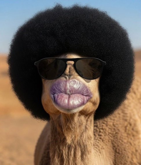 drizzyvalentino's tweet photo. Whoever made this going to HELL 😭😭😭 https://t.co/B4rdq0bkEl
