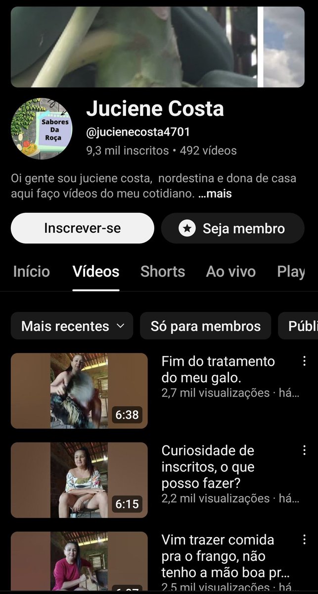 matheus_btc08's tweet photo. Galera ,denunciem o canal dessa puta nojenta torturadora de animais ,ela tem um canal no YouTube aonde ela posta vídeo somente pra membros do canal, torturando ,enforcando e pisoteando em gatos ,galinhas e patos 
não sei como uma merda dessa ainda está no YouTube ,DENUNCIEM https://t.co/wIlNMhlyZY