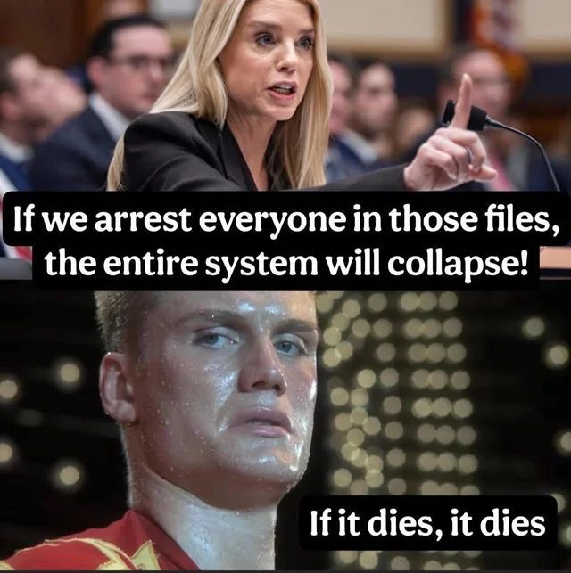 memes to save tweet media