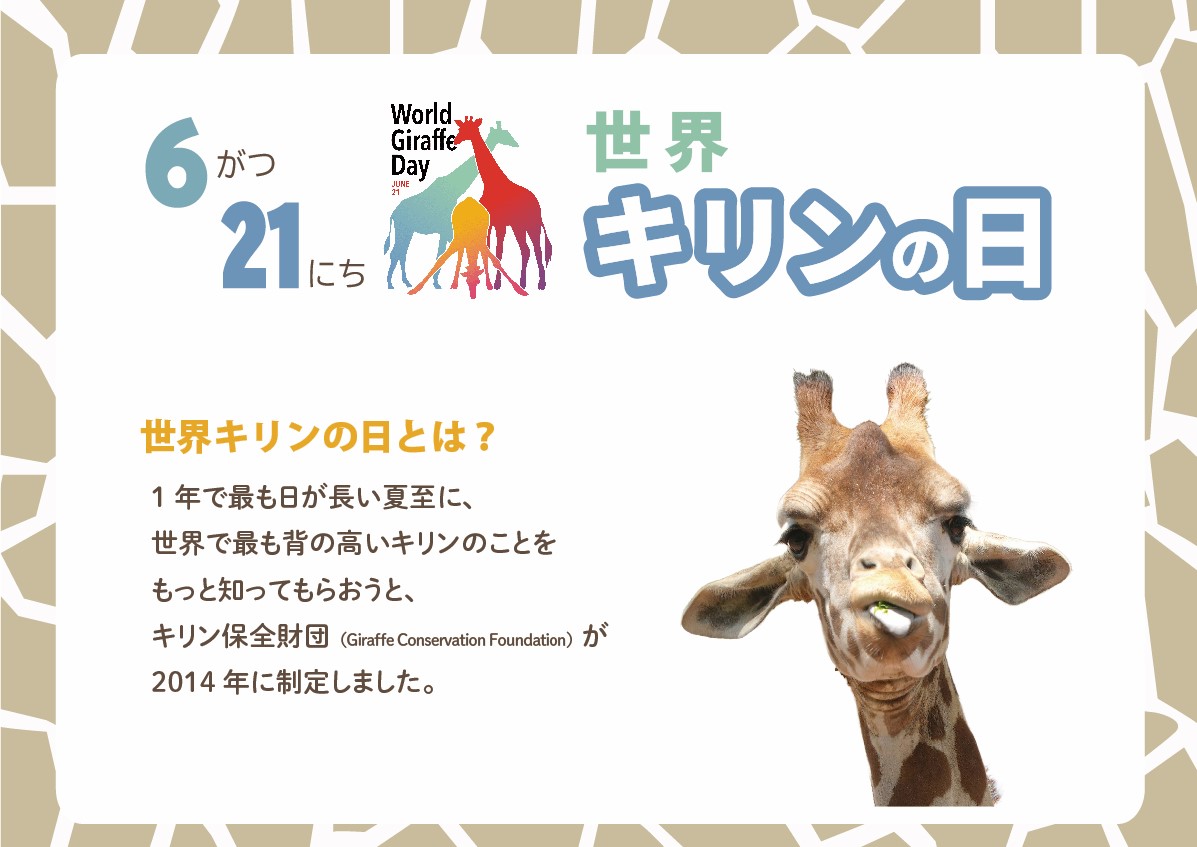キリンのひもの キリンのひもの 05_FJ_kv_bnr_SP_ichiran_690x45