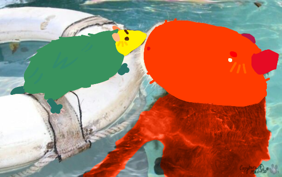 dailyflowby's tweet photo. day 512 (made by 🌸) https://t.co/e6EXhqPoIa