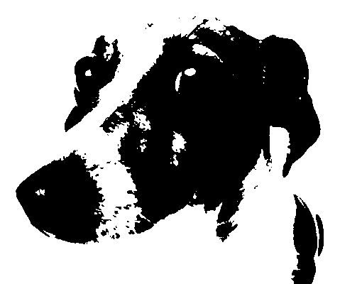 hunybreadosc's tweet photo. @quonndoggle you are NEXT https://t.co/PYgku9MJJw
