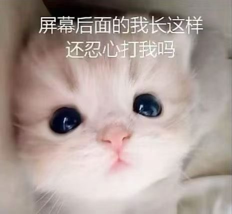 恋虐 tweet media