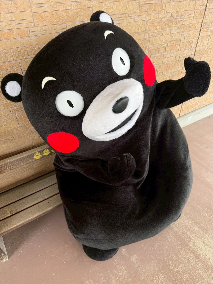 くまモン【公式】 tweet media