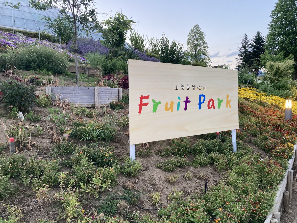 teppeistory's tweet photo. 山梨のフルーツ公園🍎
りんご、ぶどう、桃、梅など、いろんなフルーツの木と実の成長が見られる
山梨を一望できる景色も最高 https://t.co/HtPPX2JQAI
