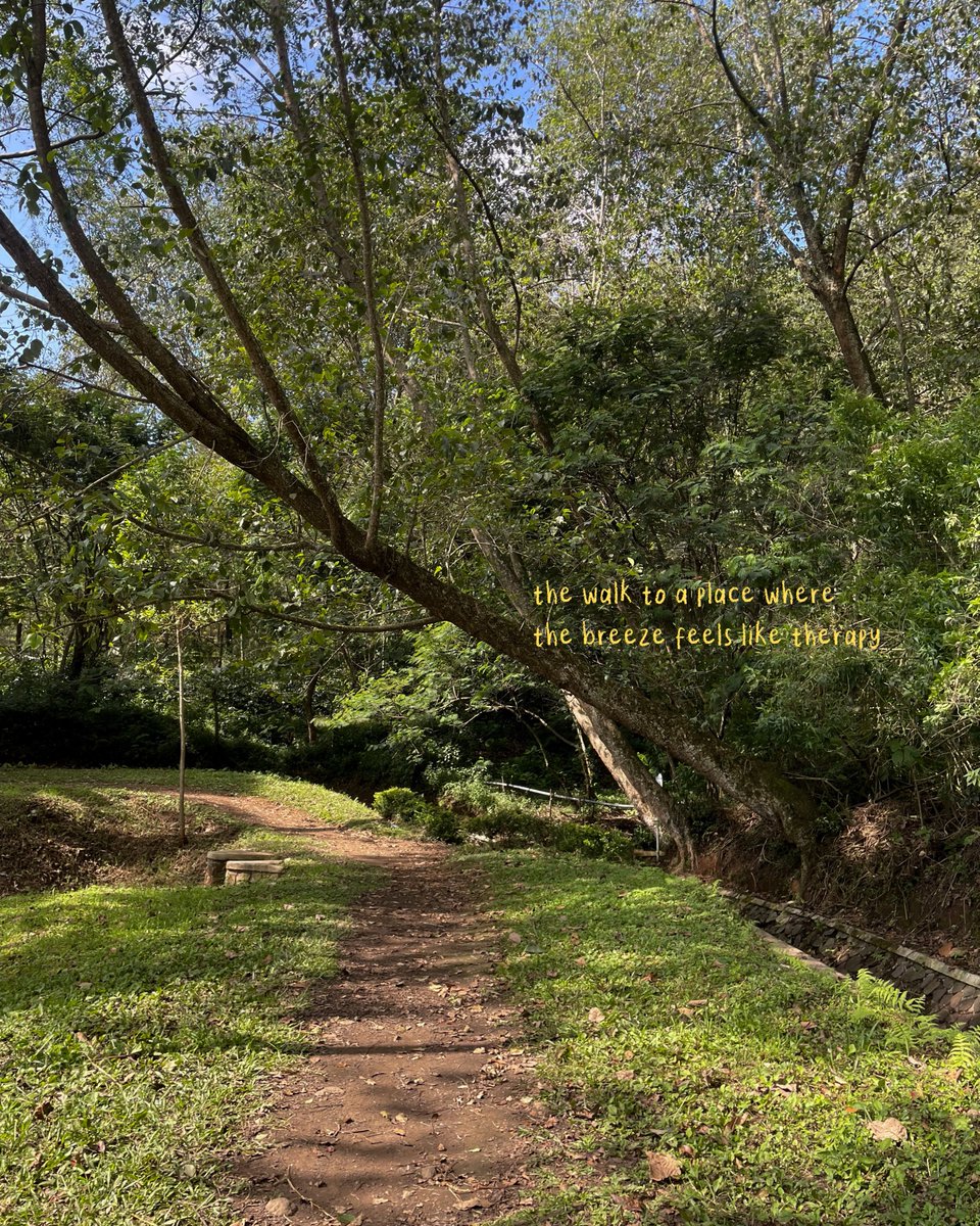 rizrizkyamalia's tweet photo. Let’s go for a walk 🍃 https://t.co/J8YMzUKIS0