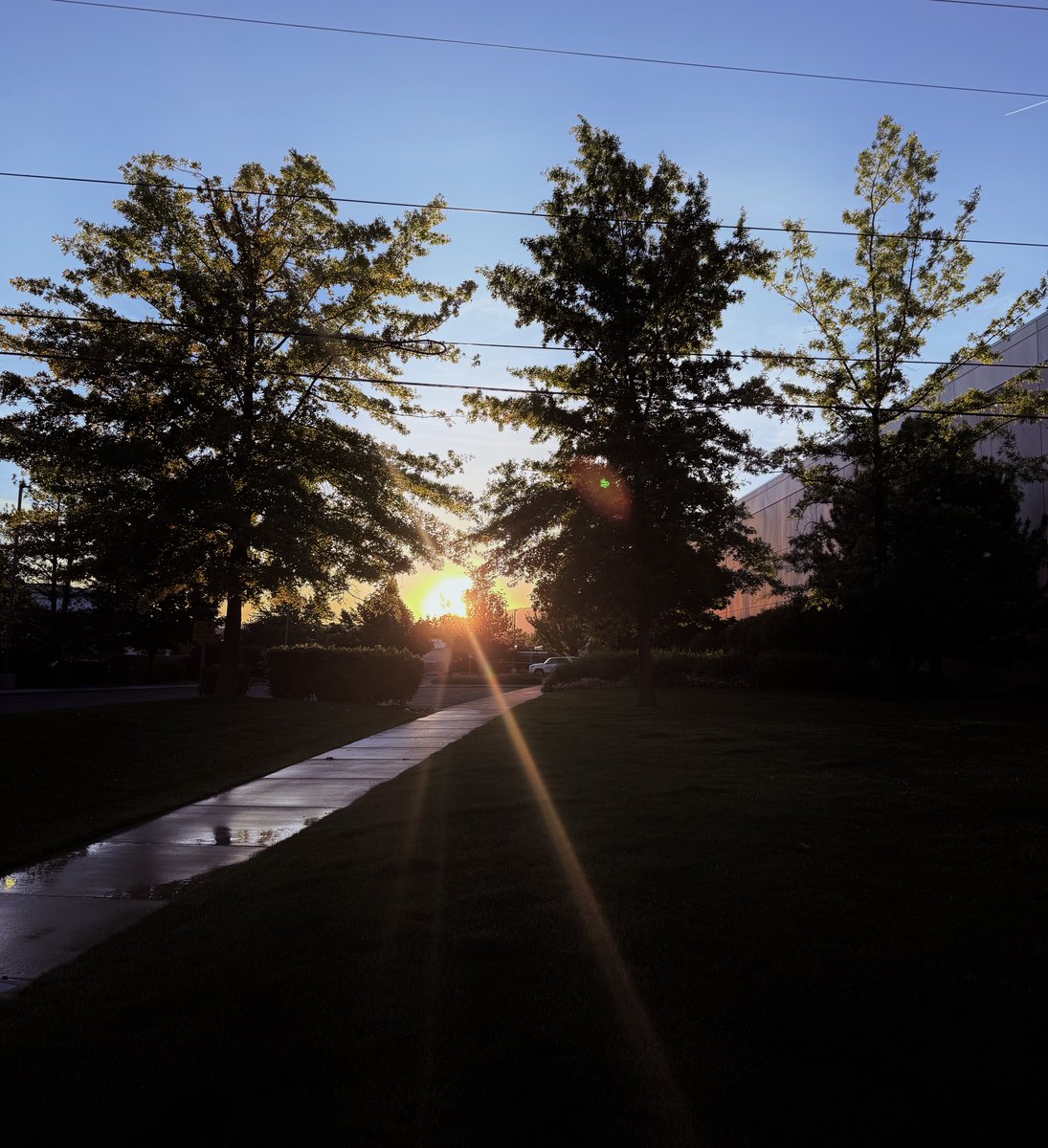 veronicathrower's tweet photo. Peaceful Sunday evening ☀️✨ https://t.co/BqzUabHQxz