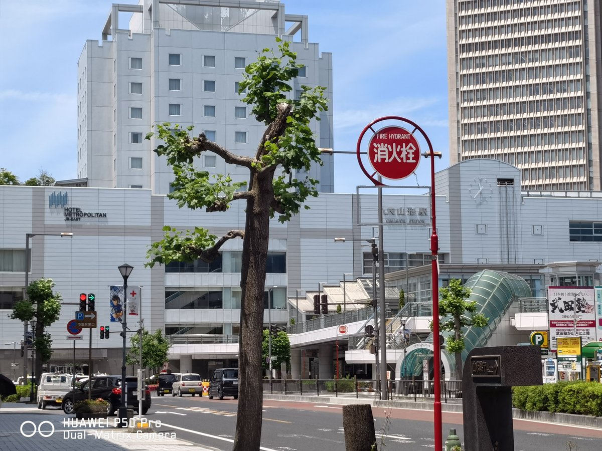 あおい🐦 tweet media