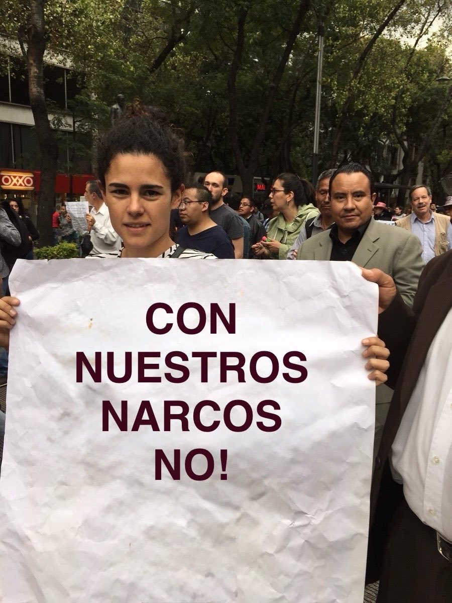 edgar_qd's tweet photo. @LuisaAlcalde @Claudiashein Felicidades!!!
Ya les va saliendo mejor su #narcomarcha
Sus patrones deben estar felices María Luisa https://t.co/OGpkX3utpl