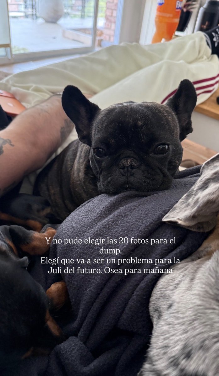 UpdatesJuliM's tweet photo. Juli sigue intentando elegir solo 20 fotos de su viaje a Disney… una misión casi imposible 🥹🏰📸

“Y no pude elegir las 20 fotos para el dump. Elegí que va a ser un problema para la Juli del futuro. Osea para mañana”👀

📲 Juli vía historia de Instagram de @/julimanzotti https://t.co/6WnkQaMQzd