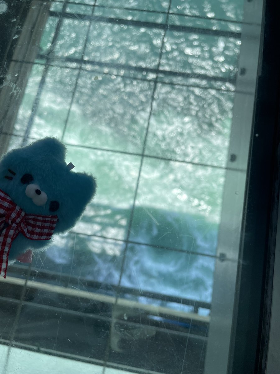 mrspretzel2's tweet photo. うずくるくる〜🌀　#すくっとたっちさん https://t.co/zxm5y2NTyh