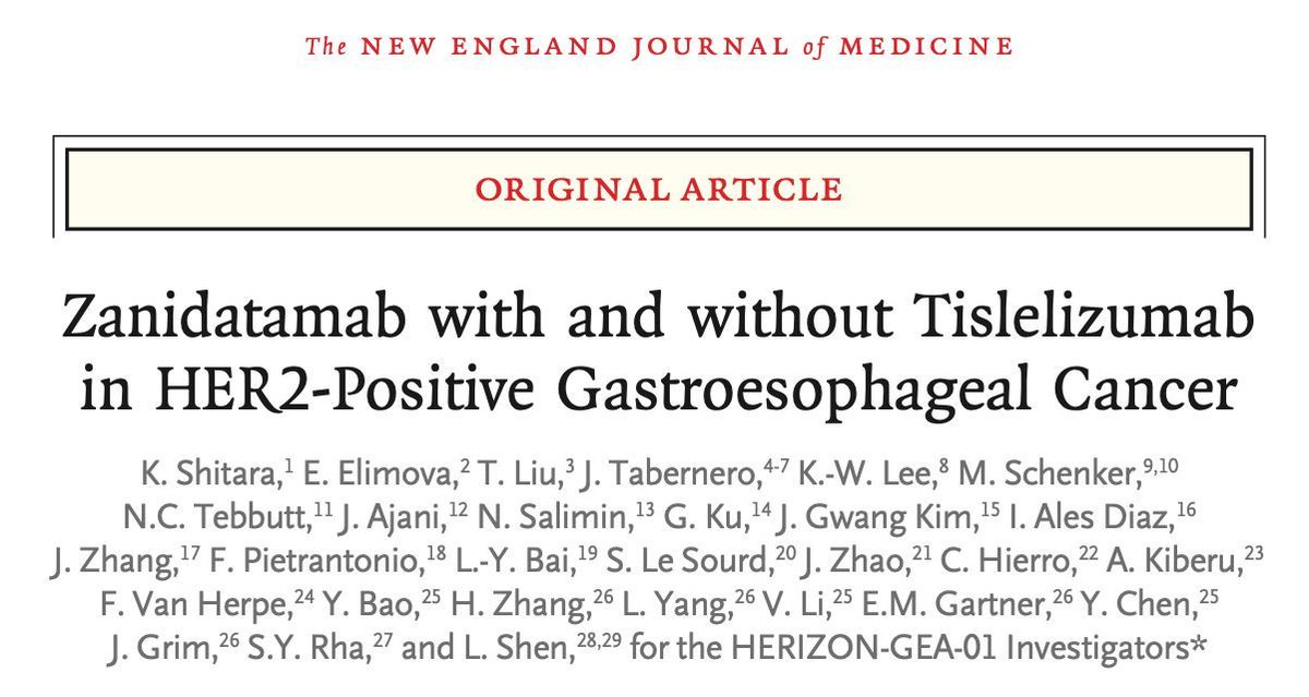 GI_Cancer_Doc's tweet photo. 🧪 HER2-positive gastroesophageal cancer, first line.
For 15 years the answer was trastuzumab + chemo.
HERIZON-GEA-01 says that can change.

Zanidatamab is a dual-HER2 bispecific.
It beat trastuzumab on PFS. HR 0.65.

📈 Add tislelizumab and median OS reaches 26.4 months. HR for death 0.72.

The catch: the survival win needs the PD-1.
Zanidatamab alone — OS 24.4 months, not significant.

⚠️ And grade ≥3 toxicity ~73%. Diarrhoea in a quarter.

Real gain. Real toxicity. Pick the patient.
https://t.co/R3k7mSMDQC
#NEJM #GastricCancer