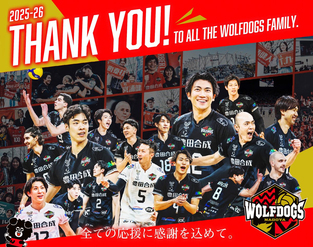 boooooorai's tweet photo. Wolfdogs uploaded a new Thank You poster 🐺🐶 https://t.co/8u7gsHe746
