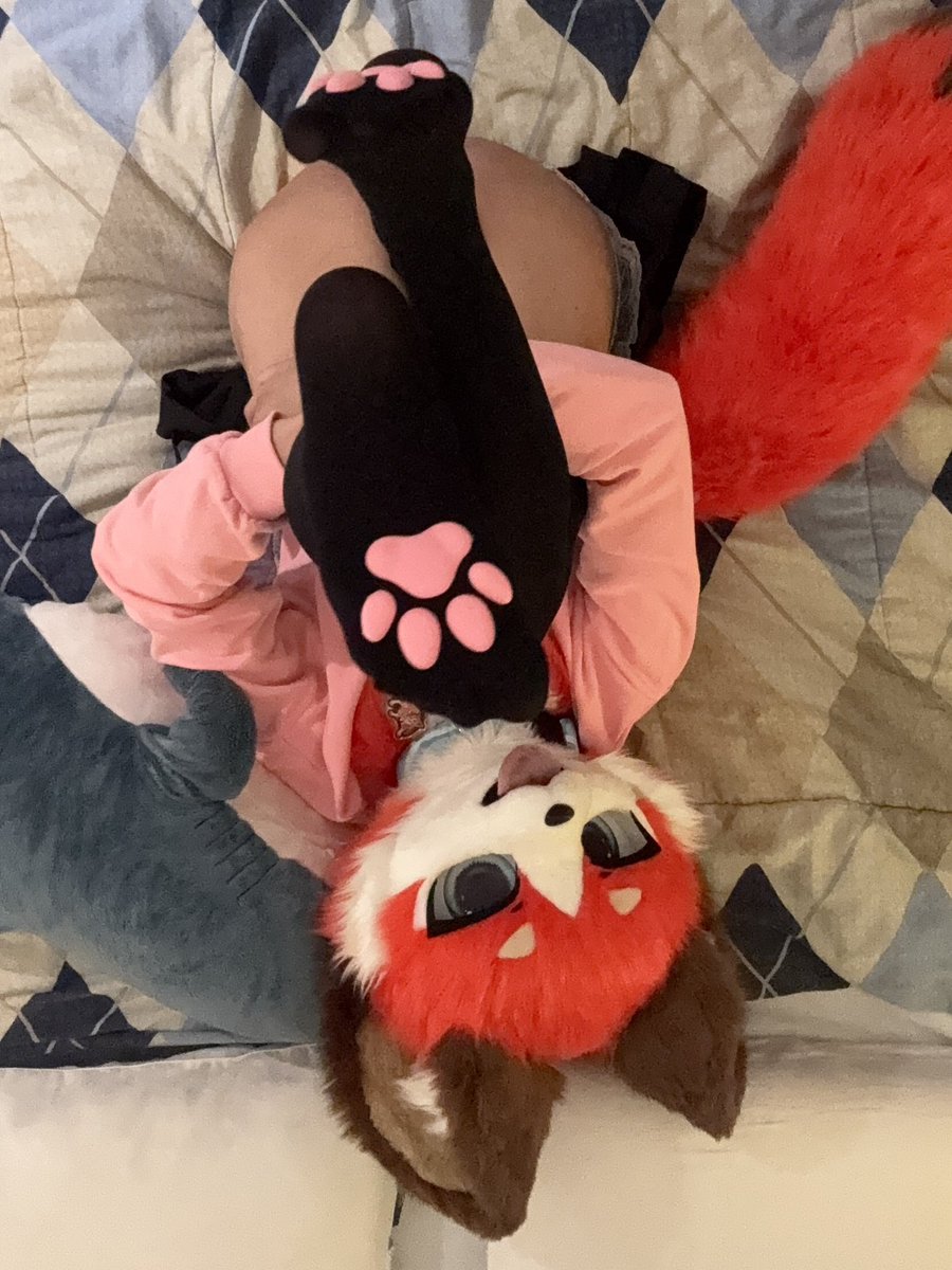 SecretsSecretAD's tweet photo. More beans :3 https://t.co/6acefOqz7w