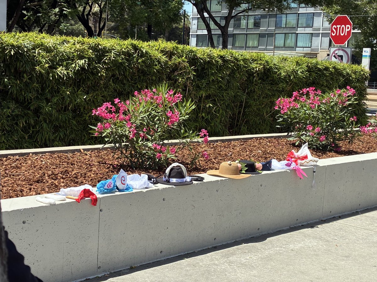 Iris_Amamiya's tweet photo. Touhou cosplay gathering 
#fanime #fanime2026 Sunday 05/24 https://t.co/c14o6B5c6w