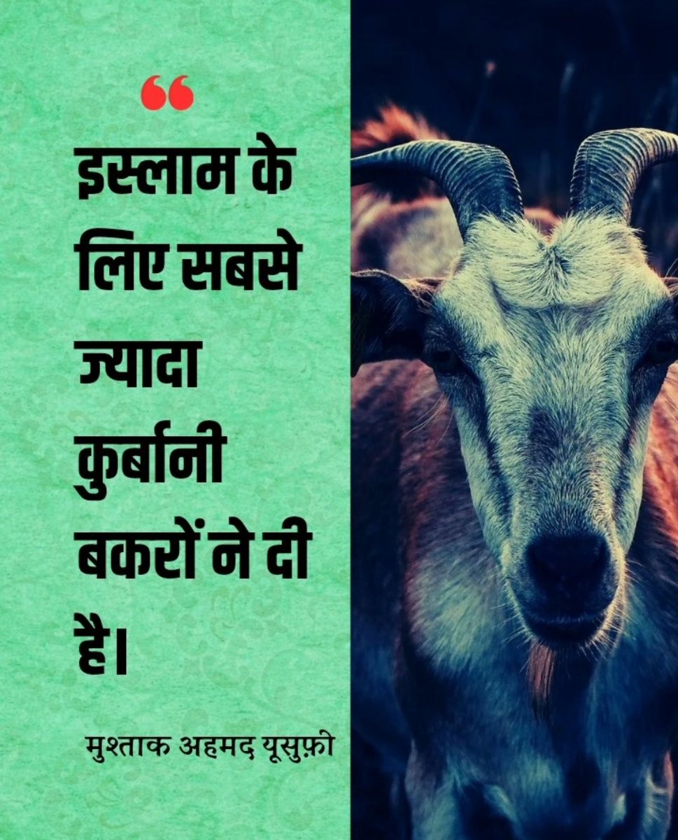 1MastMulla's tweet photo. @iRajeshMishraa @peta https://t.co/lUI0En5nou